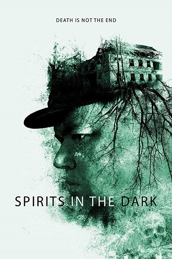 دانلود فیلم Spirits in the Dark 2019