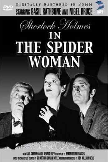 دانلود فیلم The Spider Woman 1943
