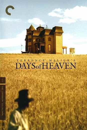دانلود فیلم Days of Heaven 1978