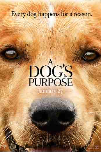 دانلود فیلم A Dogs Purpose 2017
