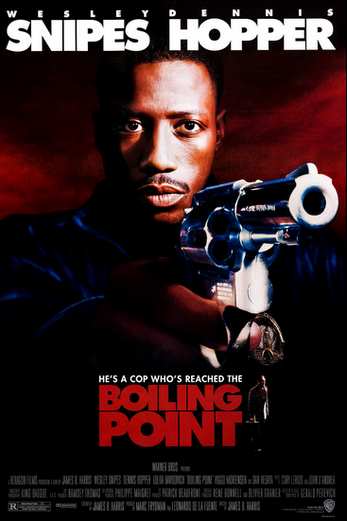 دانلود فیلم Boiling Point 1993