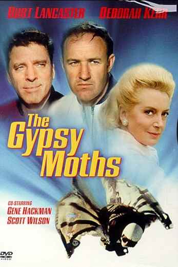 دانلود فیلم The Gypsy Moths 1969